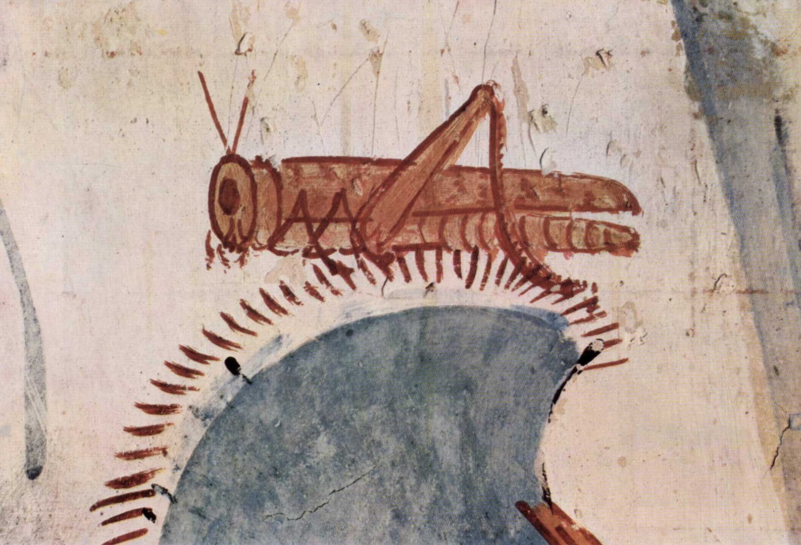 The Very Hungry Humans - Gaian Way