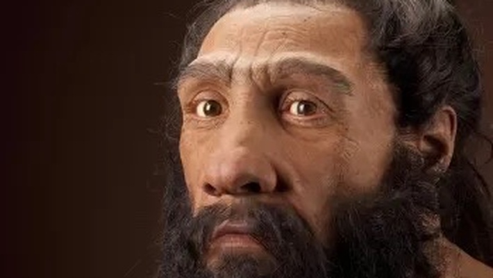 Neanderthal males had babies with human females: Research