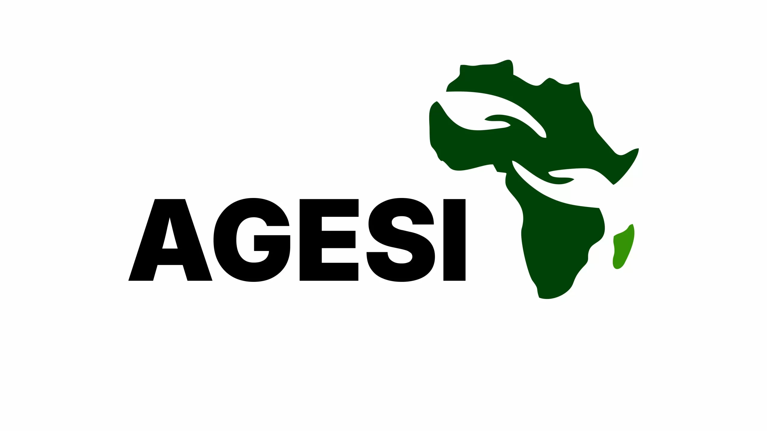 AGESI launches programmes for African leaders on green economy