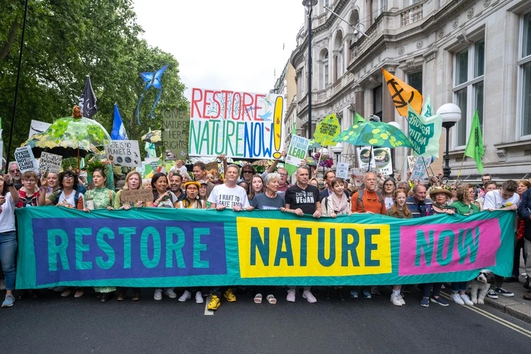 Can we learn from environmental protests – then and now? - Geographical