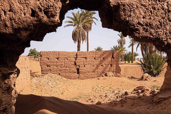 Disappearing oases could spell the end for desert life - Geographical