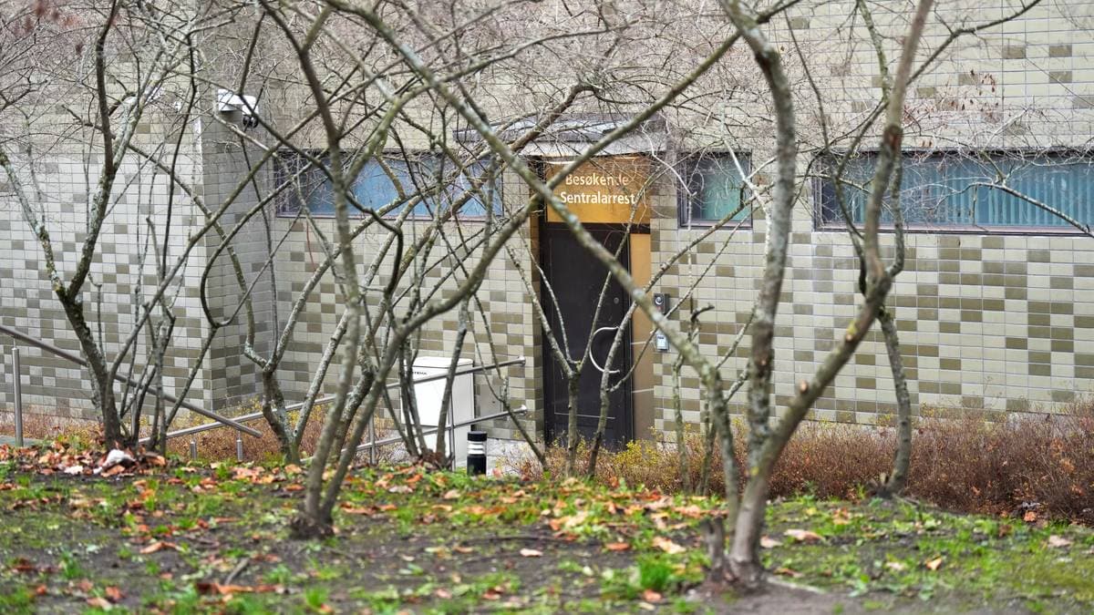 Høiby pågrepet på nytt – siktet for voldtekt – NRK Norge – Oversikt over nyheter fra ulike deler av landet