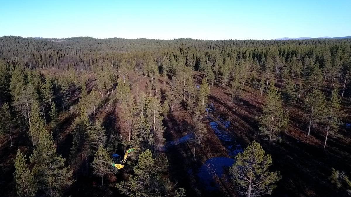 Redningsprosjekt for ødelagt myr – NRK Innlandet – Lokale nyheter, TV og radio