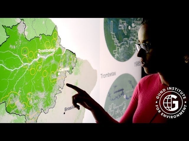 Amazon Mining Devastation Spreads far Beyond Leased Areas