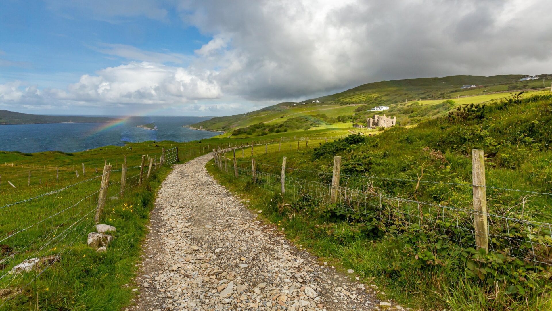 Data Centers Are Pushing Ireland’s Electric Grid to the Brink