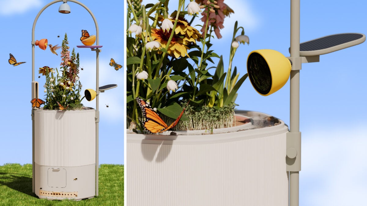 Bird Buddy 's Wonder Blocks isn't just for bird,it's saving pollinators!