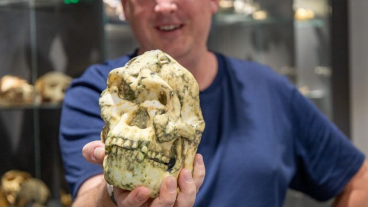 One of the Most Complete Human Ancestors Ever Found Isn’t Who We Thought It Was