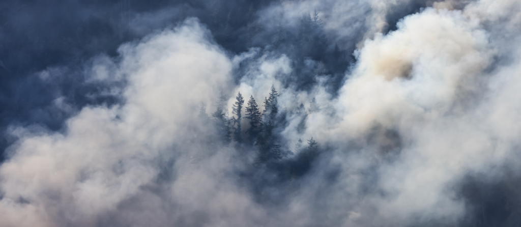 Nature loss is insurers’ loss - and the public’s too – Global Canopy