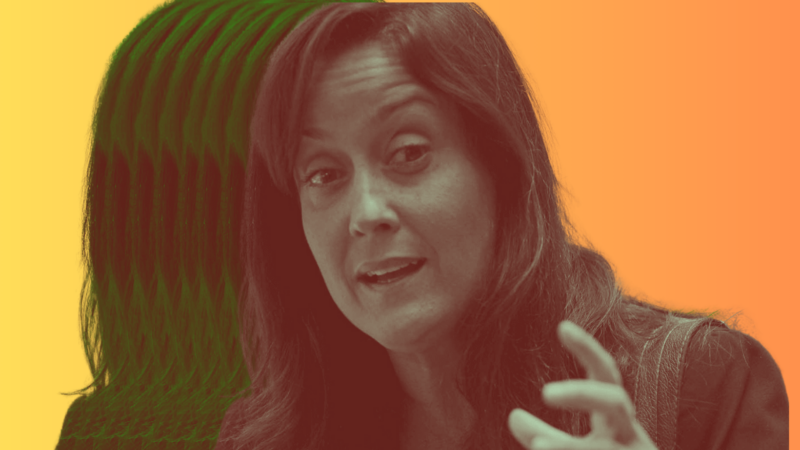 Rocío San Miguel, Venezuelan rights activist and lawyer, detained and reported missing · Global Voices