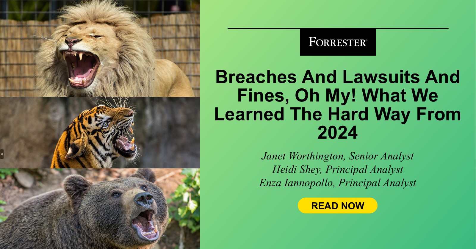 Breaches And Lawsuits And Fines, Oh My! What We Learned, The Hard Way, From 2024