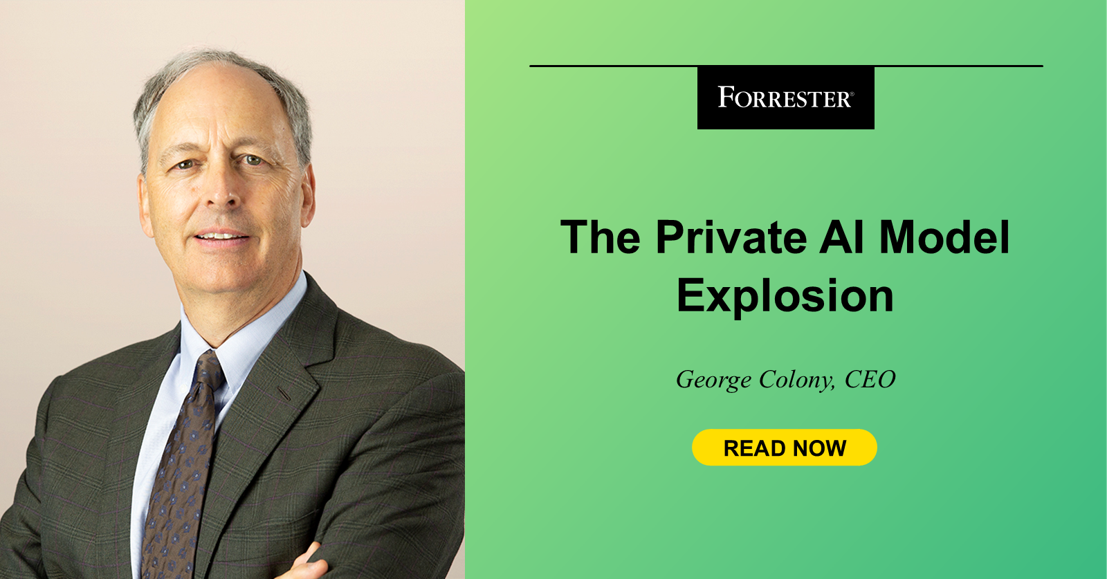 The Private AI Model Explosion
