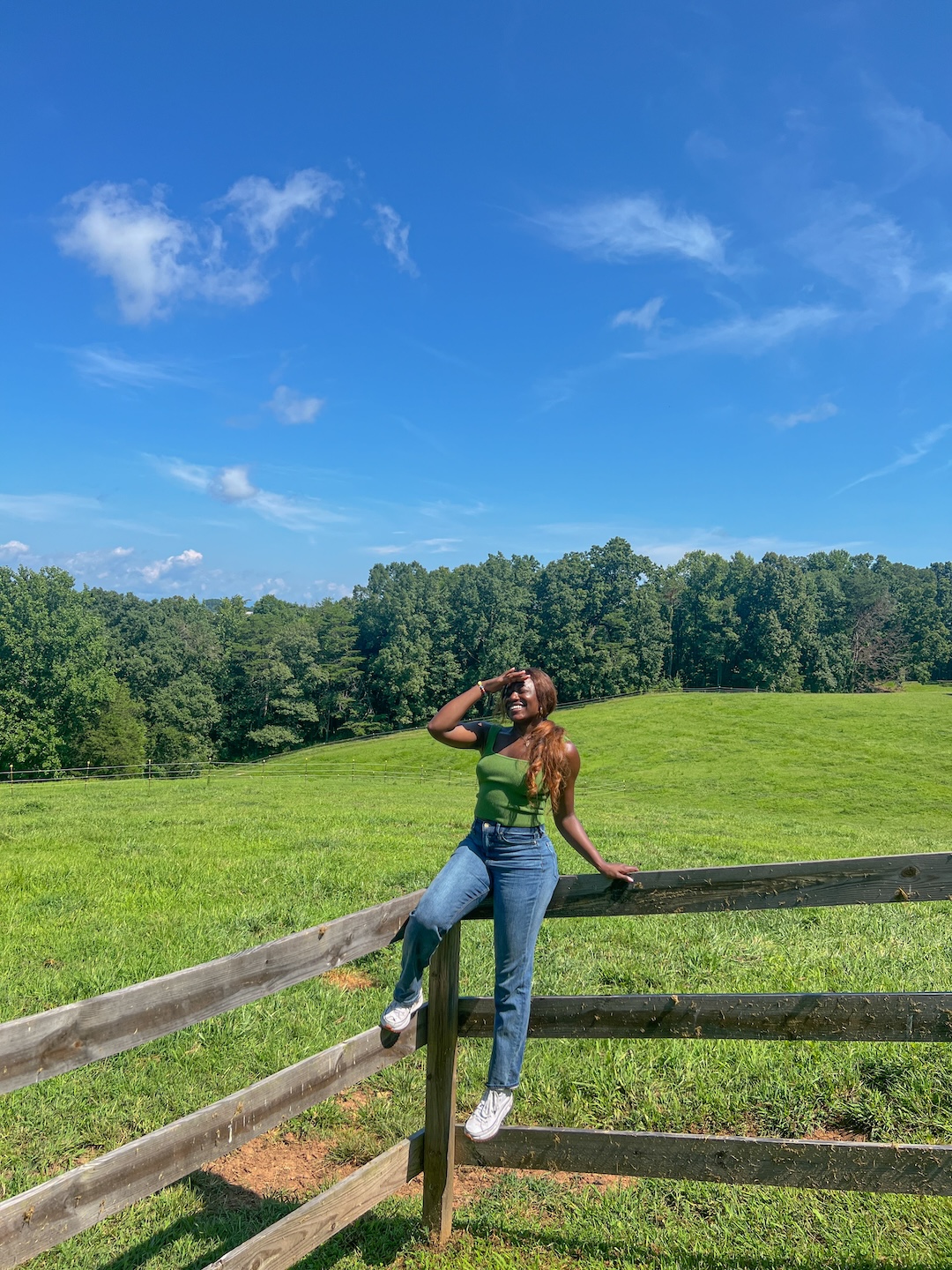 Rustic Retreat: Your Guide to a Relaxing Farm Stay in Hendersonville, NC - GoodTomiCha