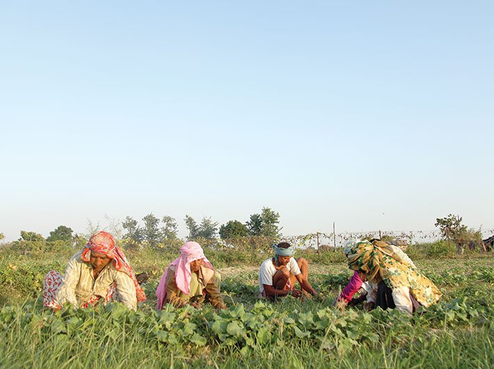 Missing: The woman farmer -Governance Now