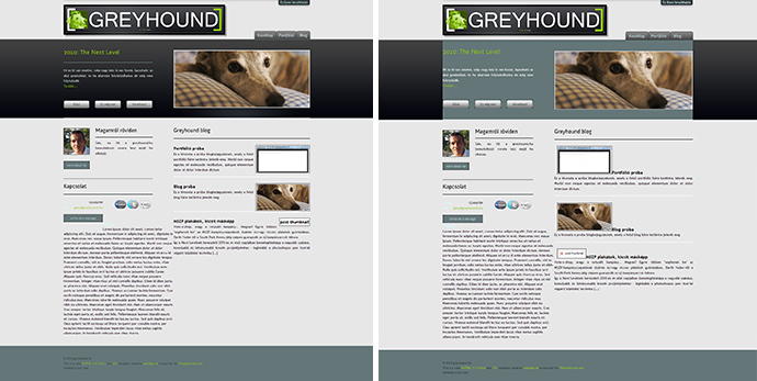 Https://facebook.com/greyhoundvideo User cover