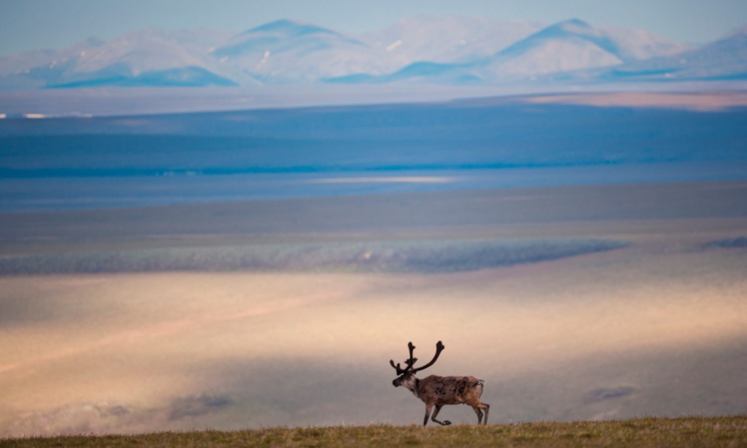 The case for conservation leasing | Fix
