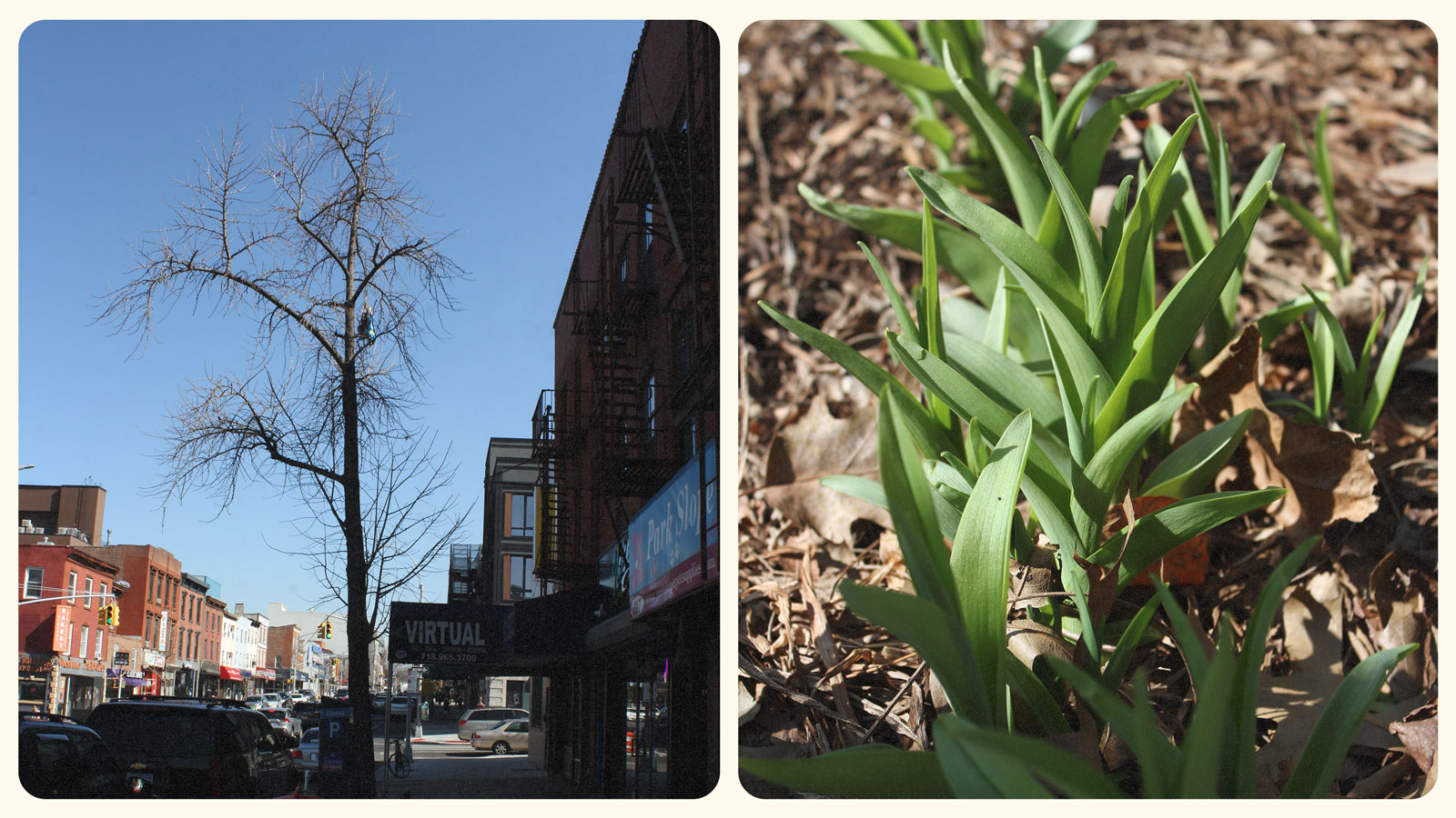 An urban nature tour reveals how to find wild spaces, even in cities | Fix