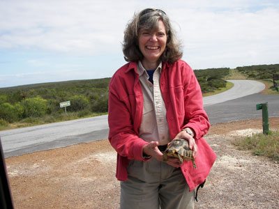 Survivor, endangered species edition: We decide who lives and dies | Grist