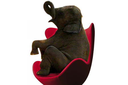 Climate change: The elephant in the dining room | Grist