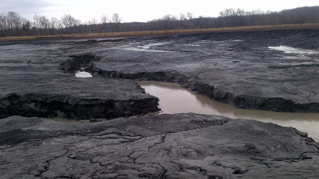 Ash decisions: North Carolina helped river-ruining Duke Energy duck pollution complaints | Grist