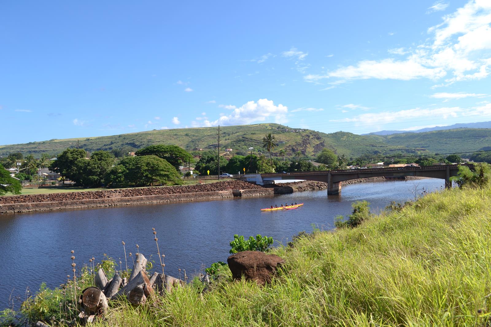 GMO companies are dousing Hawaiian island with toxic pesticides | Grist