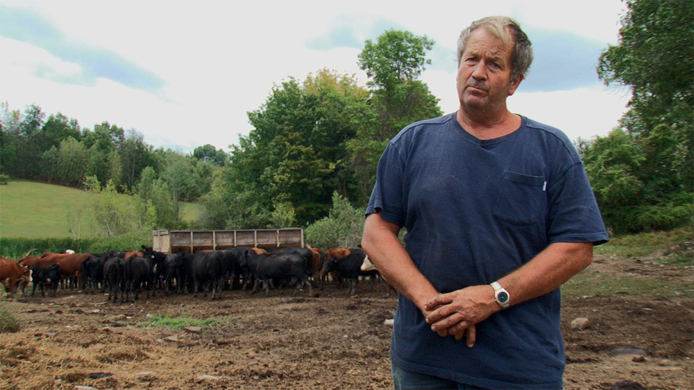 What farm cooperatives can do for the food system -- and farmers | Grist