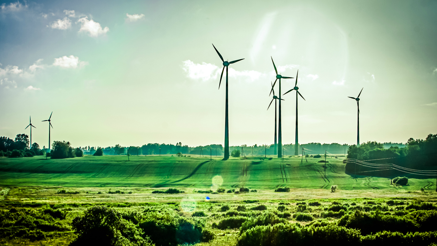 Why the Koch brothers' war against clean energy is still failing | Grist