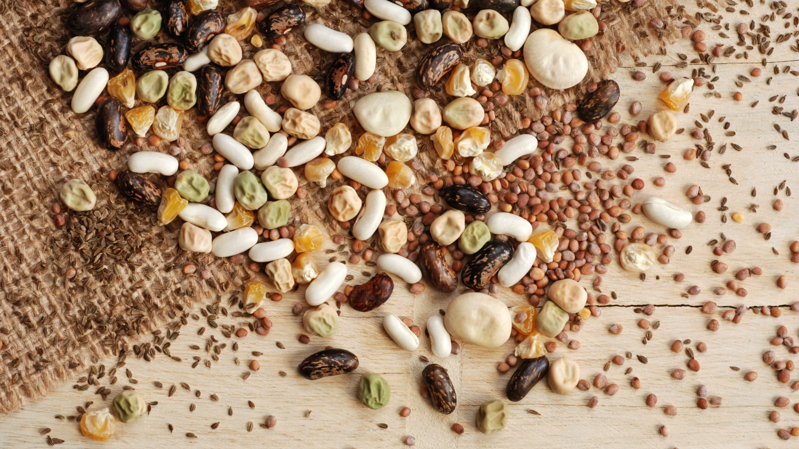 What you need to know about planning a garden. (Hint: It starts with the seeds) | Grist