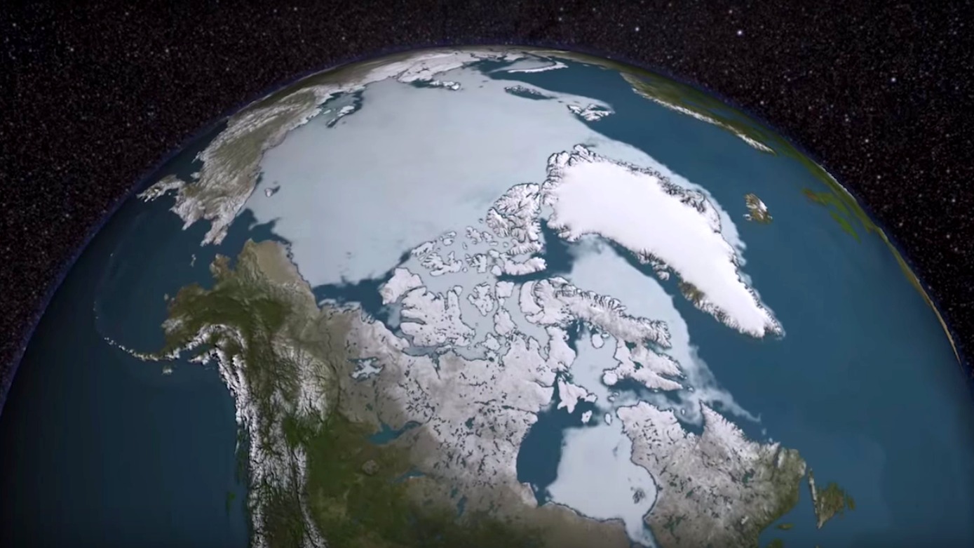 Arctic sea ice, did you lose weight? You look amazing! | Grist