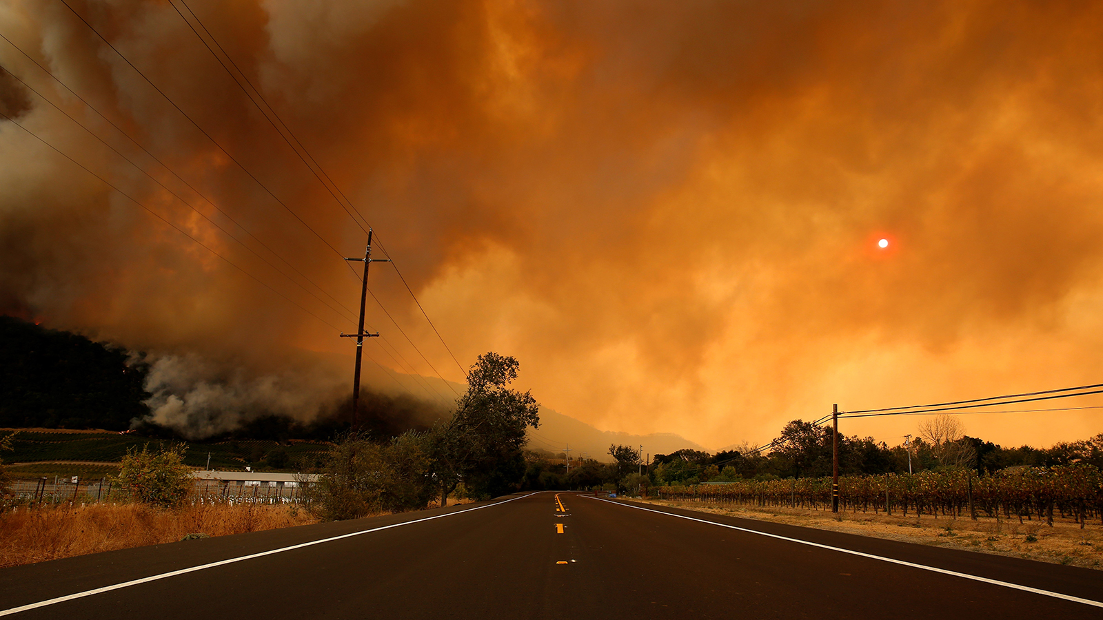 California wildfires torch the legalization hopes of pot growers | Grist