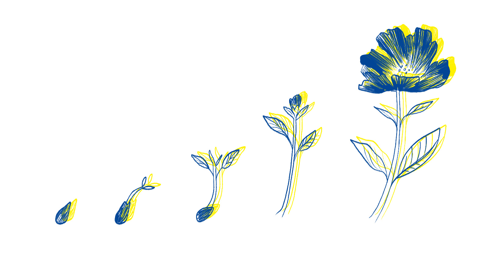 To be young and in love with the planet | Grist