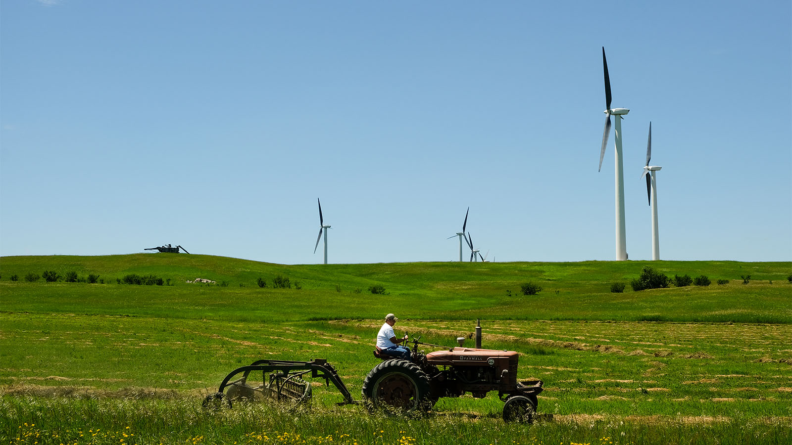 Fertilizer is a major pollutant. Why doesn't the government regulate it as one? | Grist