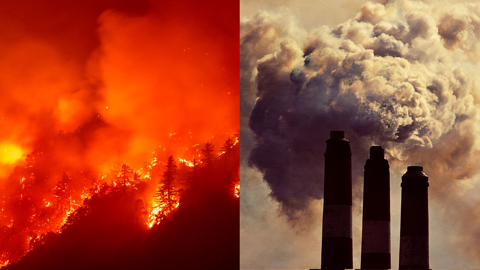 This Oregon forest was supposed to store carbon for 100 years. Now it’s on fire. | Grist
