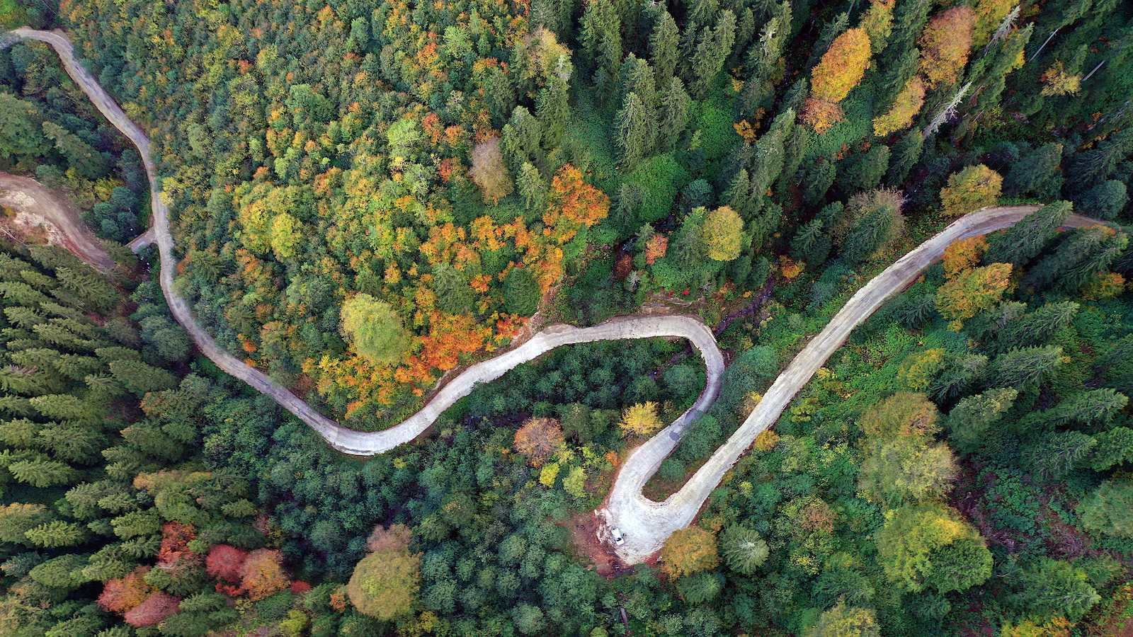 Natural debate: Do forests grow better without our help? | Grist