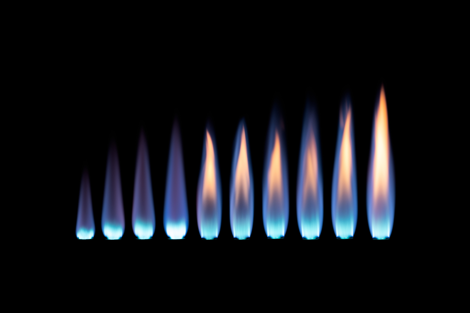 Suggested ban on gas stoves ignites a culture war | Grist