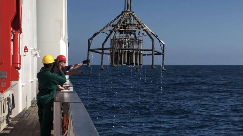 Toxin banned decades ago found in one of the deepest parts of the Pacific Ocean Grist | Grist