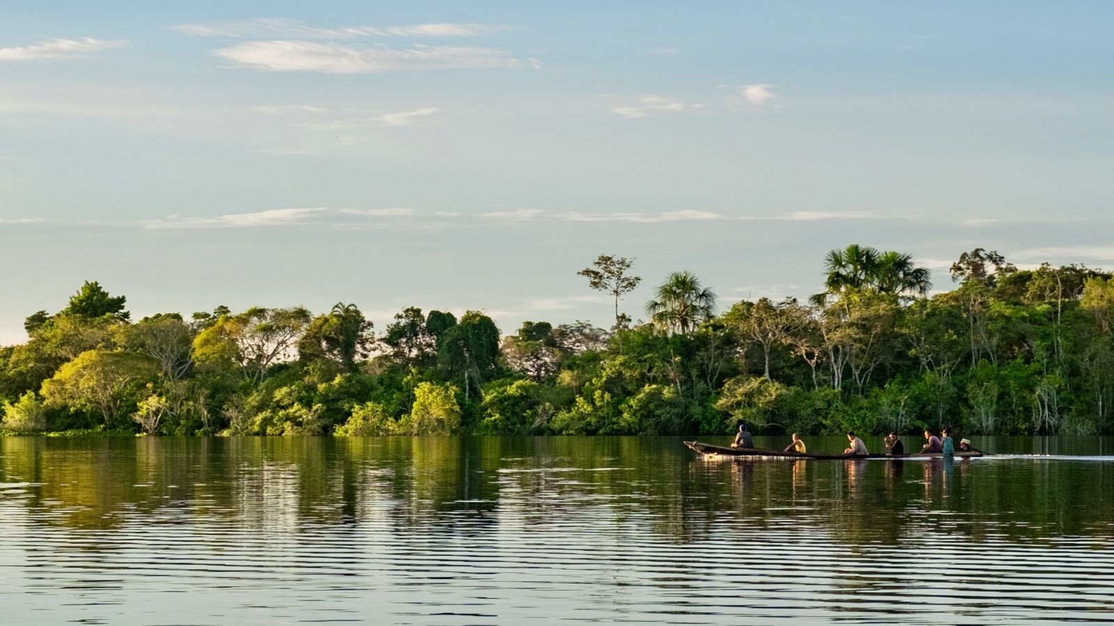 In Peru, forest communities are fighting to regain ownership of protected land | Grist