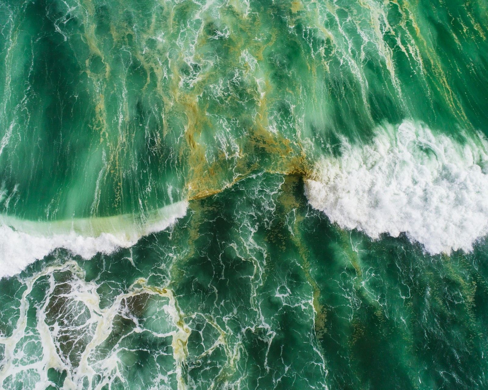 The ocean is turning green. Yes, it's climate change. | Grist