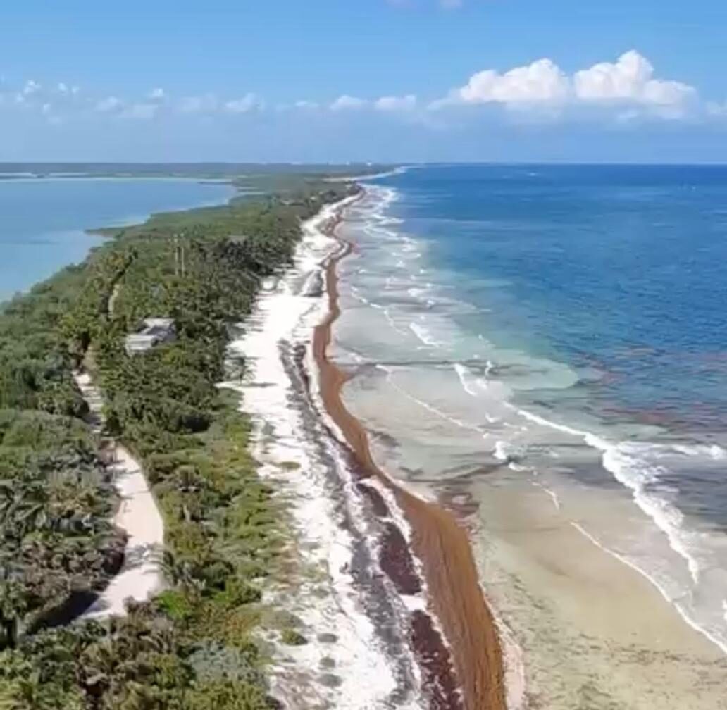 How the Riviera Maya Is Turning Crisis Into Coastal Innovation - Grit Daily News