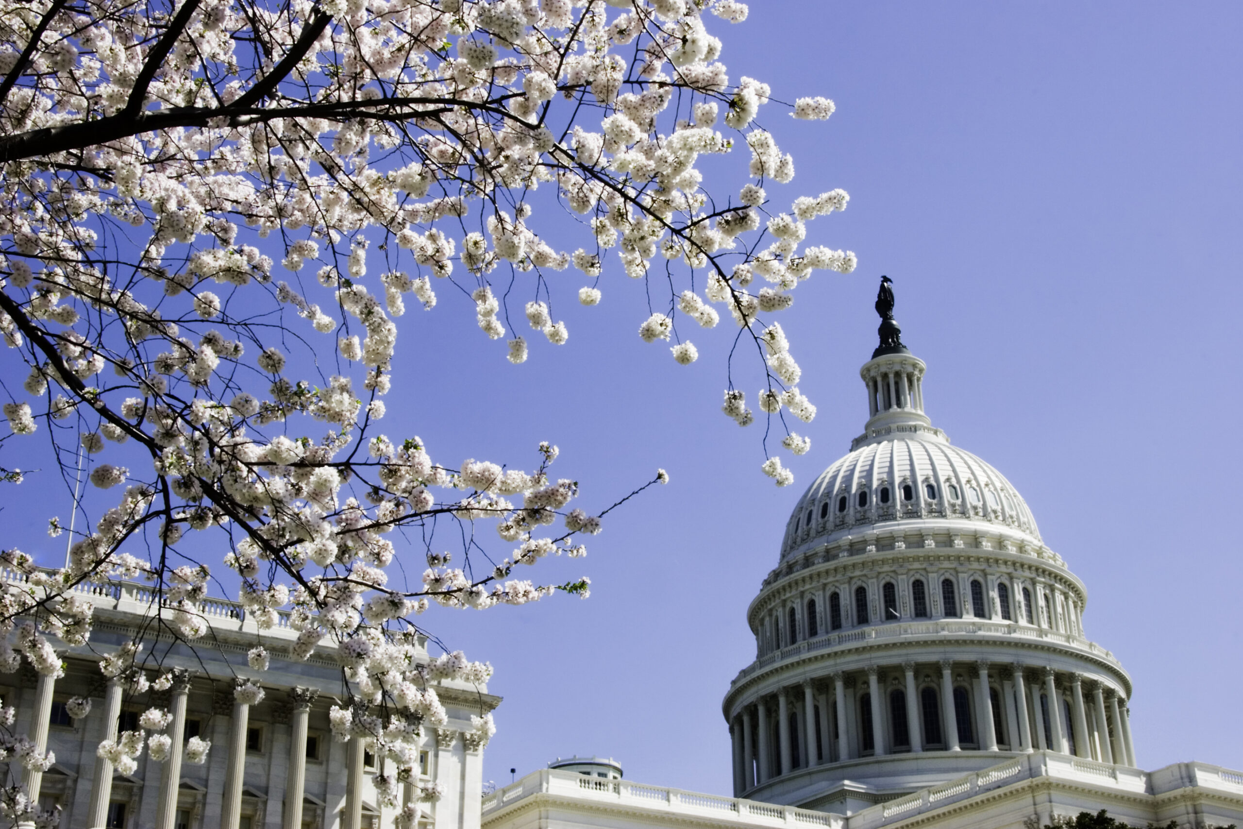 E15 Amendment: Growth Energy Urges Congress to Support