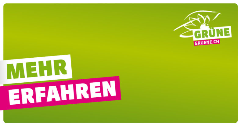 Ja zur Individualbesteuerung - GRÜNE Schweiz