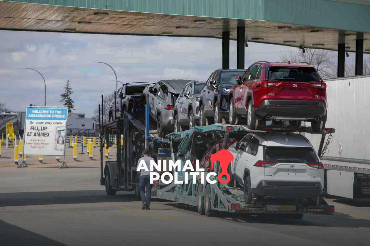 Aranceles a autos chinos: México plantea elevar impuestos a 50 % para "proteger industria nacional" | Grupo Animal