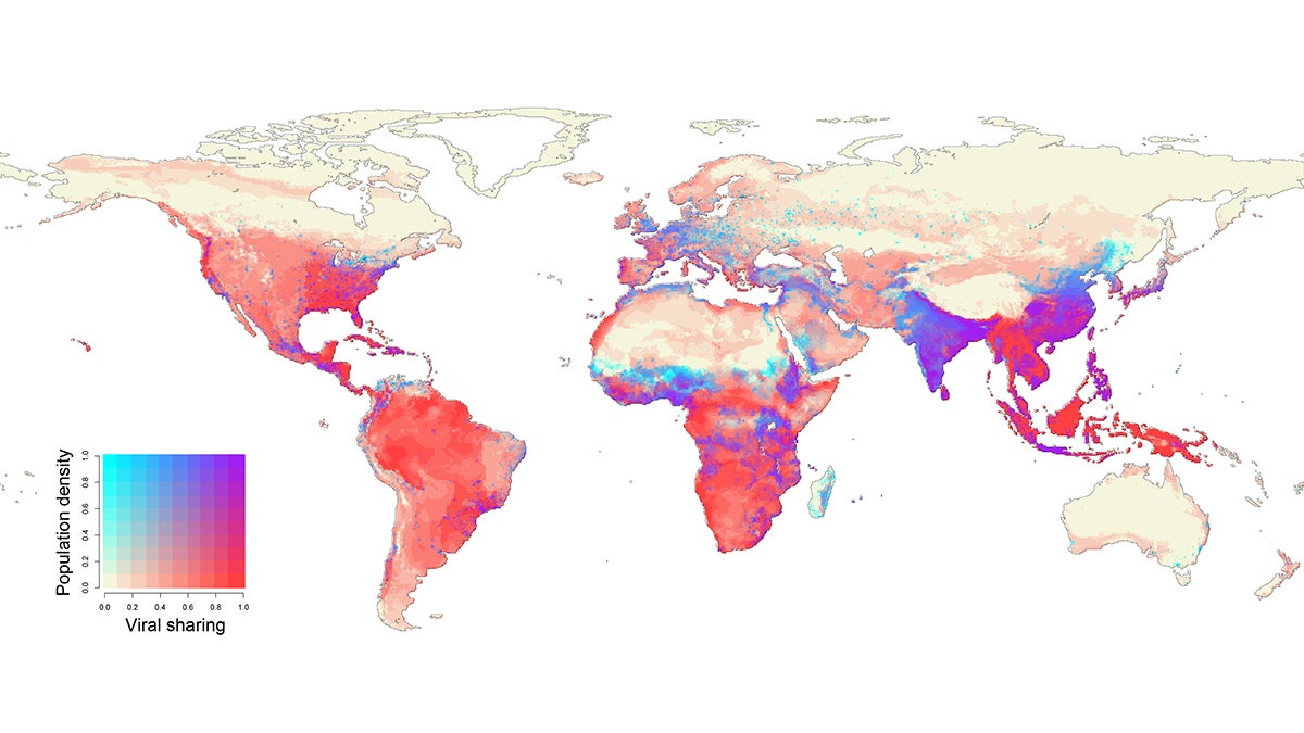 New Study Finds Climate Change Could Spark the Next Pandemic | Georgetown University Medical Center | Georgetown University