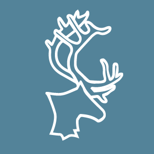 Gwich’in Steering Committee Condemns Senate Passing of Budget Bill that Includes Drilling in Sacred Arctic Refuge - Gwich’in Steering Committee