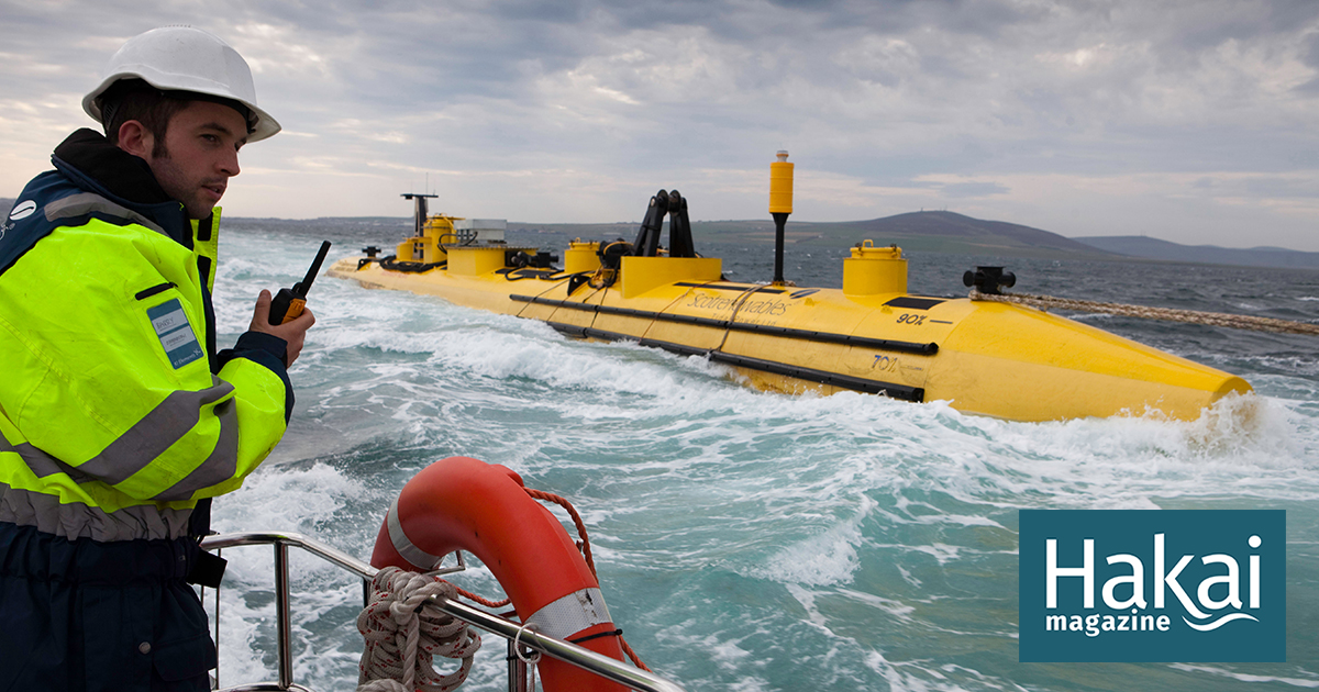 Tidal Power’s Fickle Future | Hakai Magazine