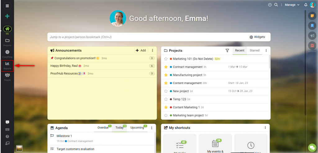 Custom Field Report - ProofHub Help