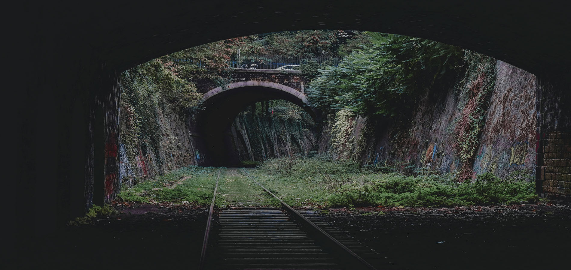 Hawk's Nest: The Deadliest Industrial Disaster You've Never Heard Of - HeinOnline Blog