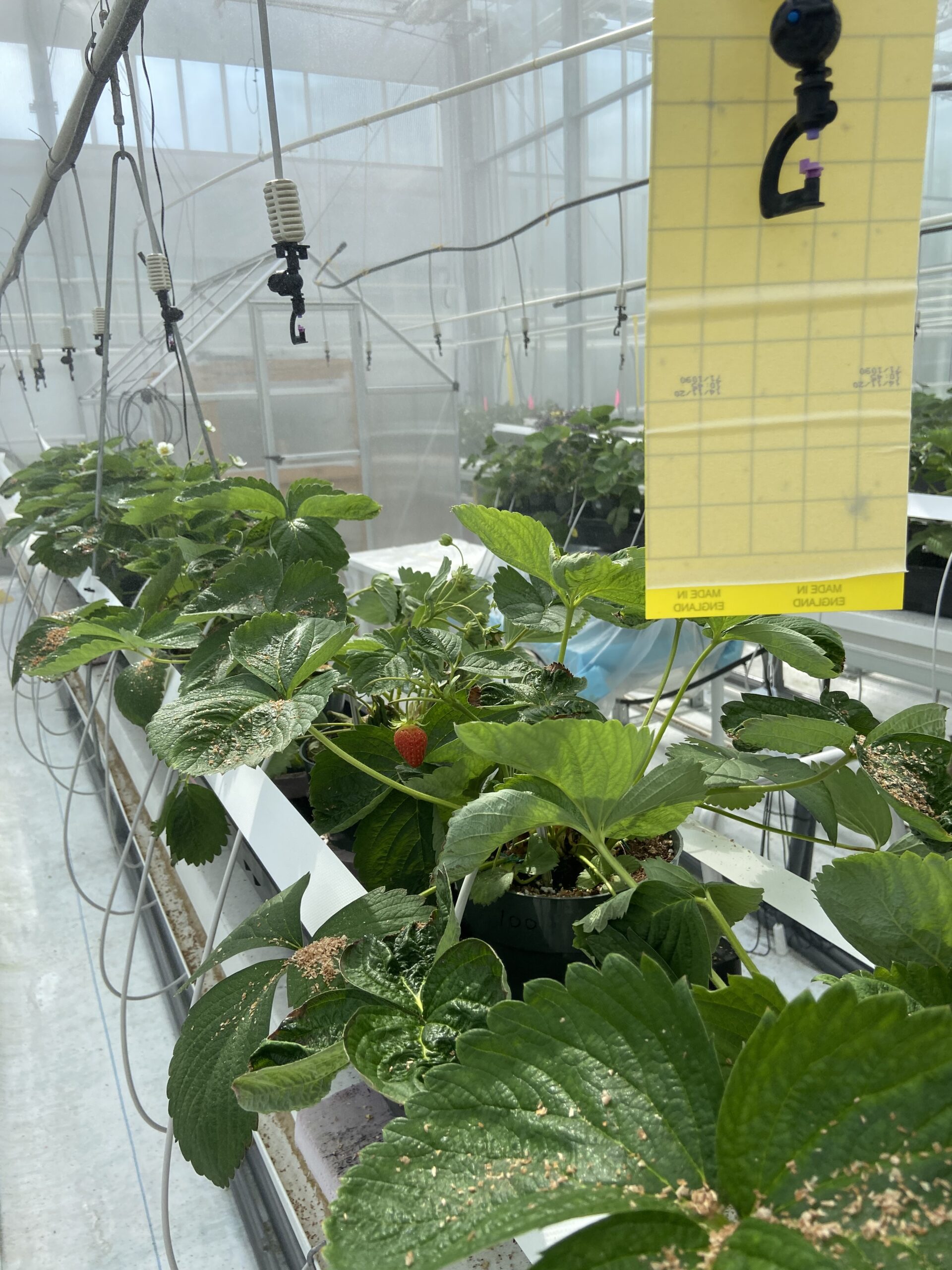 Harvest season is upon us, and the future of Canadian farming is ripe with possibility. (And on that farm, there was a… farmer, engineer, and robotics expert!) - Homegrown Innovation Challenge