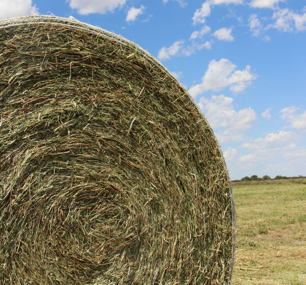 State-By-State Hay Markets - High Plains Journal