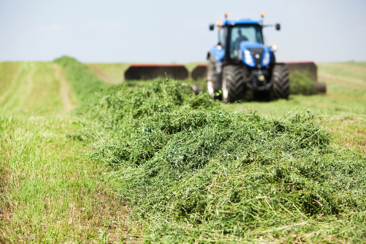 Area Hay Prices - High Plains Journal