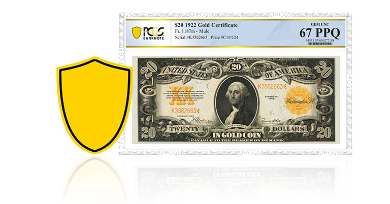 Pcgscoin User cover